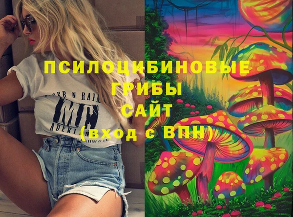 прущие грибы Инсар