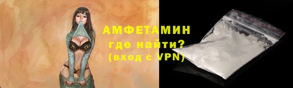 гидра Инта