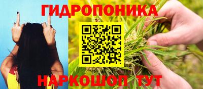 Альфа ПВП Ярославль