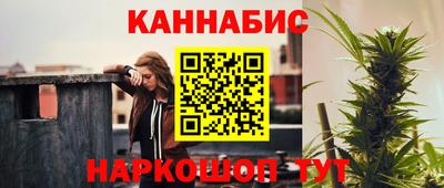 Альфа ПВП Ярославль