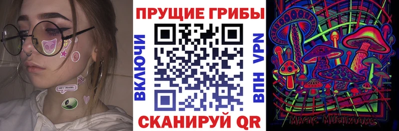 Псилоцибиновые грибы Psilocybine cubensis  Краснокамск 